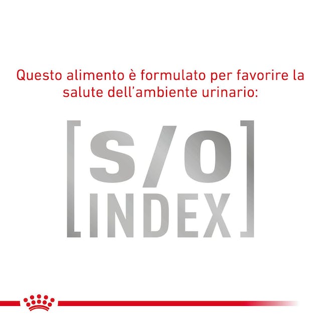 Royal Canin Gastrointestinal Fibre Response - Alimento umido per Gatto 12x85gr Royal Canin Gastrointestinal Fibre Response - Alimento umido per Gatto 12x85gr